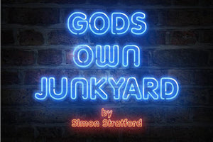 
            
                Load image into Gallery viewer, Gods Own Junkyard
            
        
