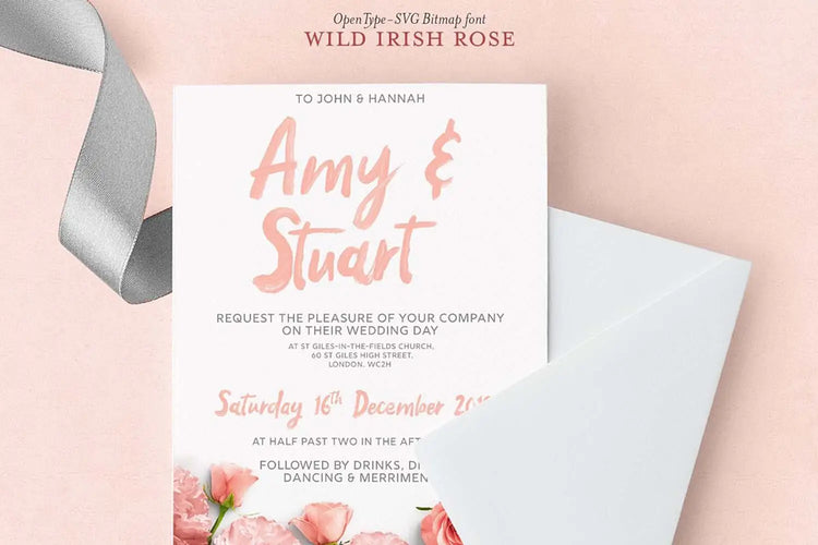 Wild Irish Rose display lettering example featuring contemporary fashion character
