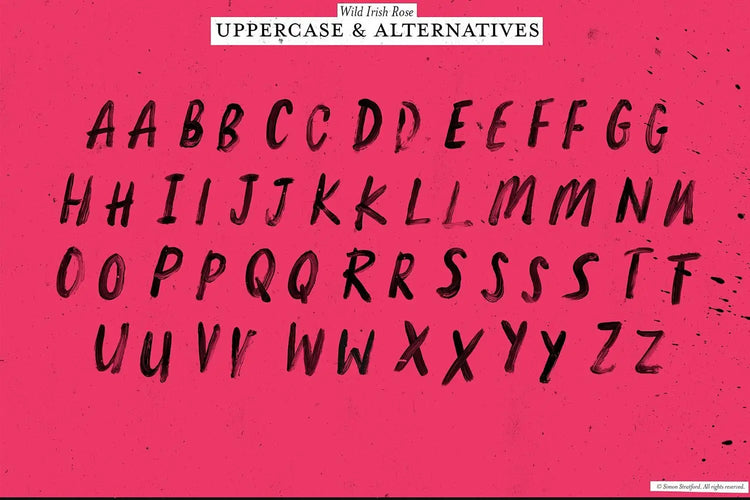 Wild Irish Rose font character set highlighting contemporary fashion character