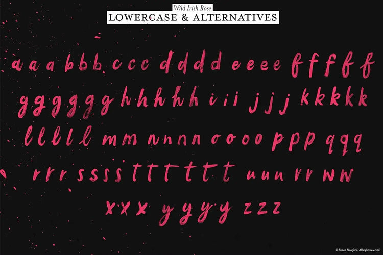 Wild Irish Rose lettering detail showing expressive branding typography
