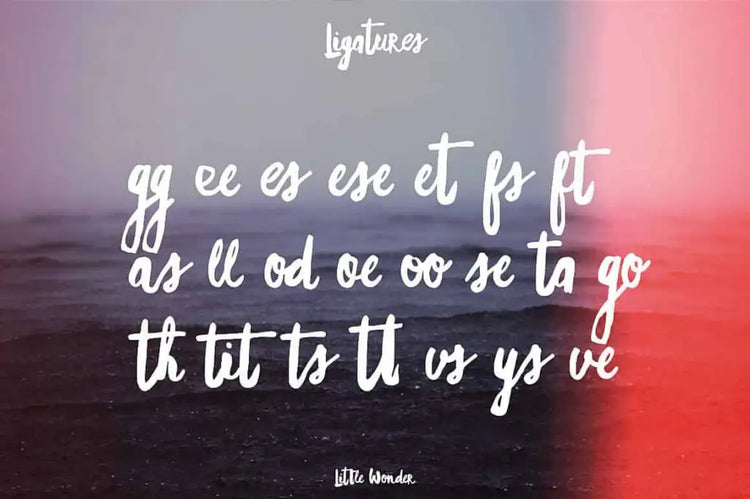 Little Wonder display lettering example featuring kooky brush character