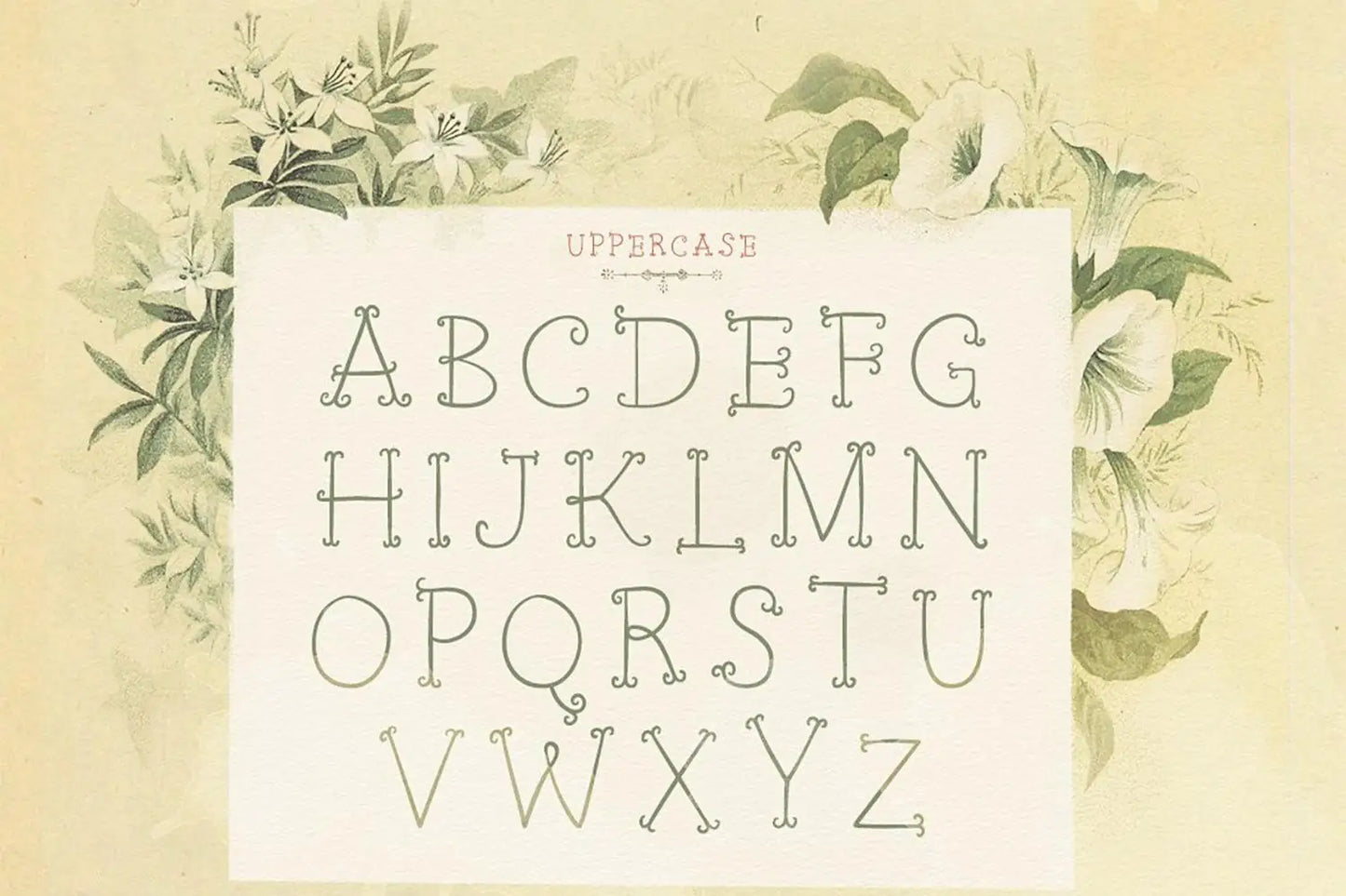 Petit Jardin font design example 2