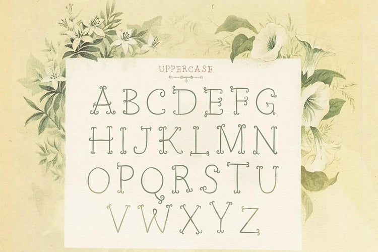 Petit Jardin typography sample featuring French garden inspiration